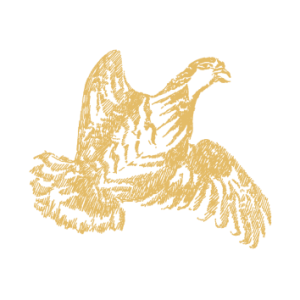 perdrix grains dorés