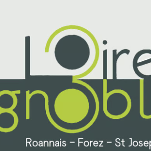 Salon la Loire aux 3 Vignobles : 6, 7 & 8 Nov 2026